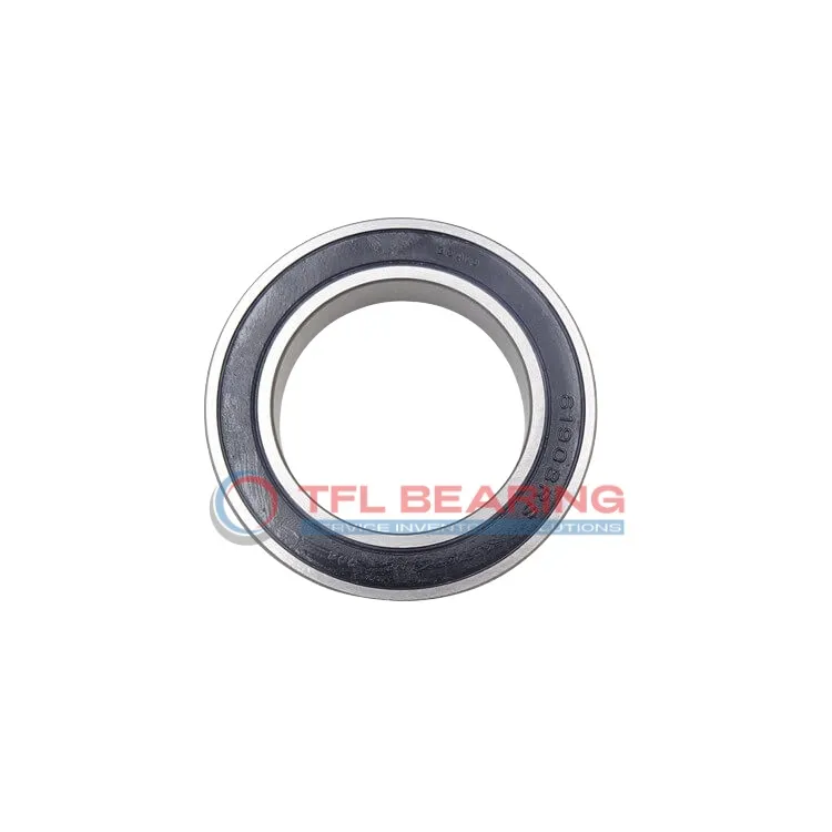Stainless Steel Deep Groove Ball Bearings W 6206-2RS1/R799